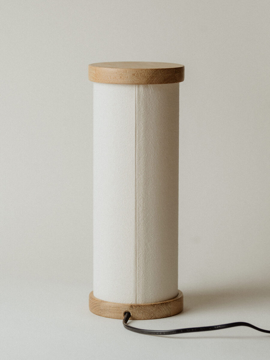 LAMPĂ BRODATĂ – Alocasia Macrorrhizos